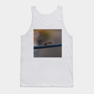 macro ants Tank Top